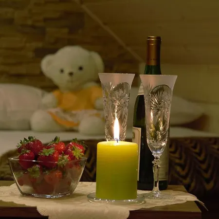 Apartment Goscinne U Chycow *