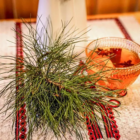 Goscinne U Chycow * Zakopane