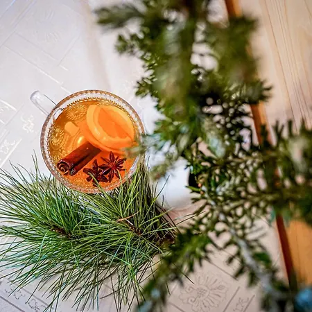 Apartment Goscinne U Chycow