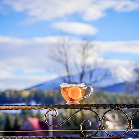 Goscinne U Chycow Apartment *