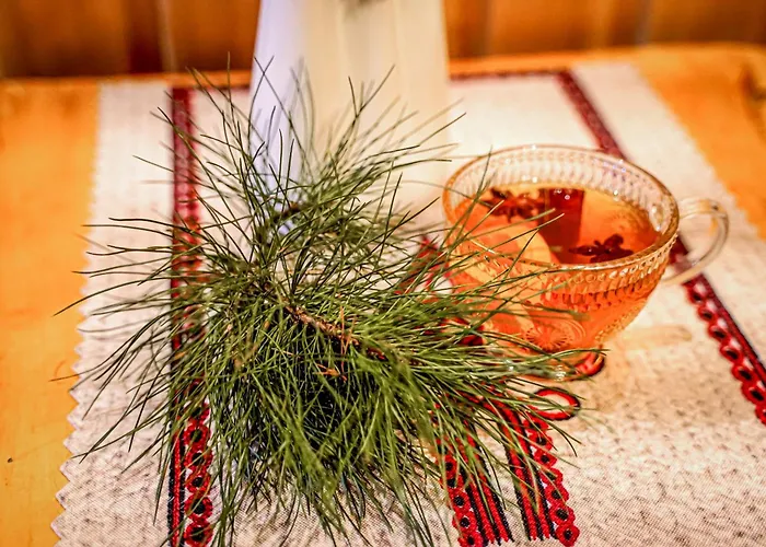 Goscinne U Chycow * Zakopane