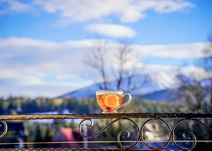 Goscinne U Chycow Appartamento *